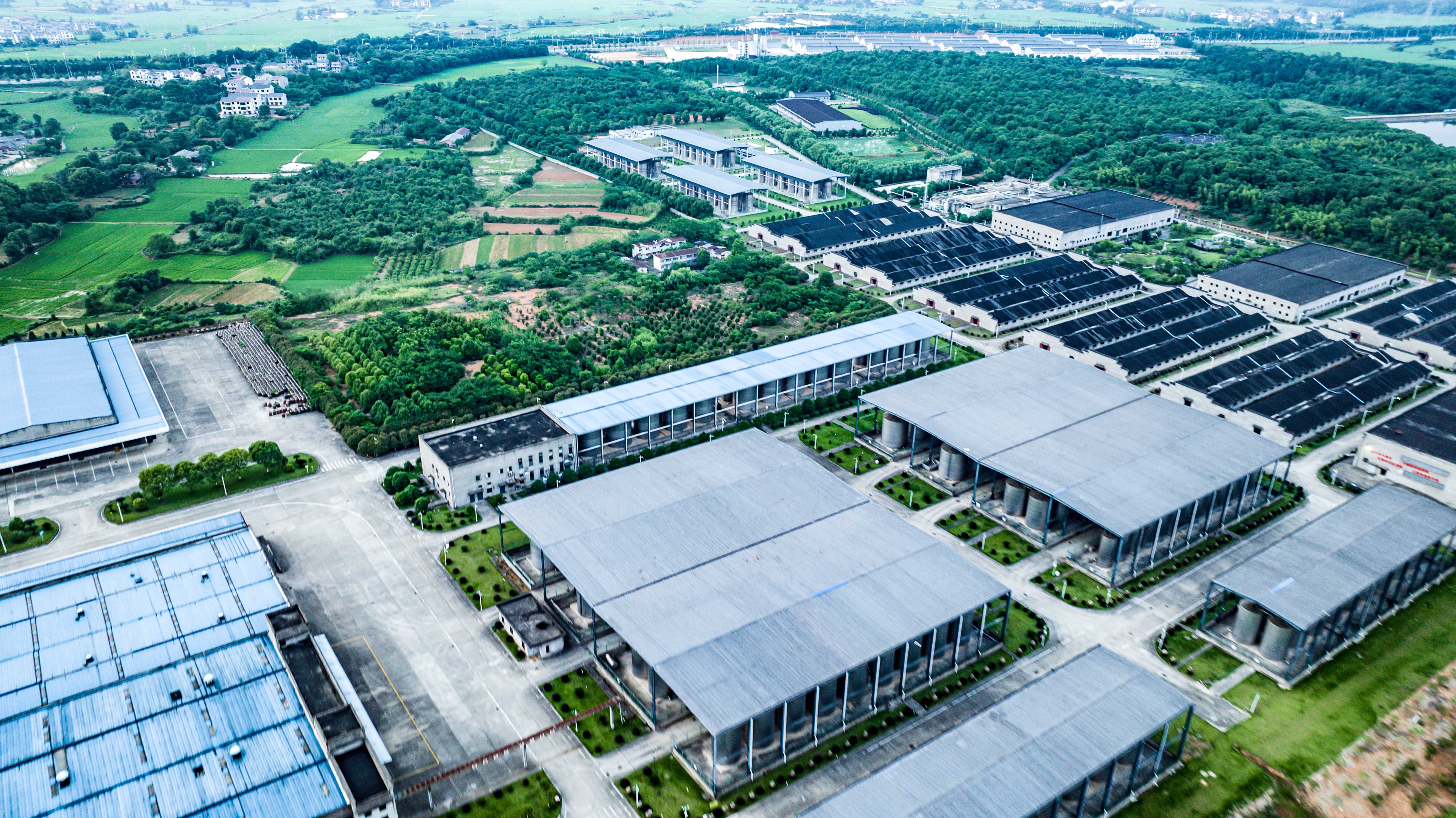 1751264485169046169.jpg 1751264485169046169.jpg